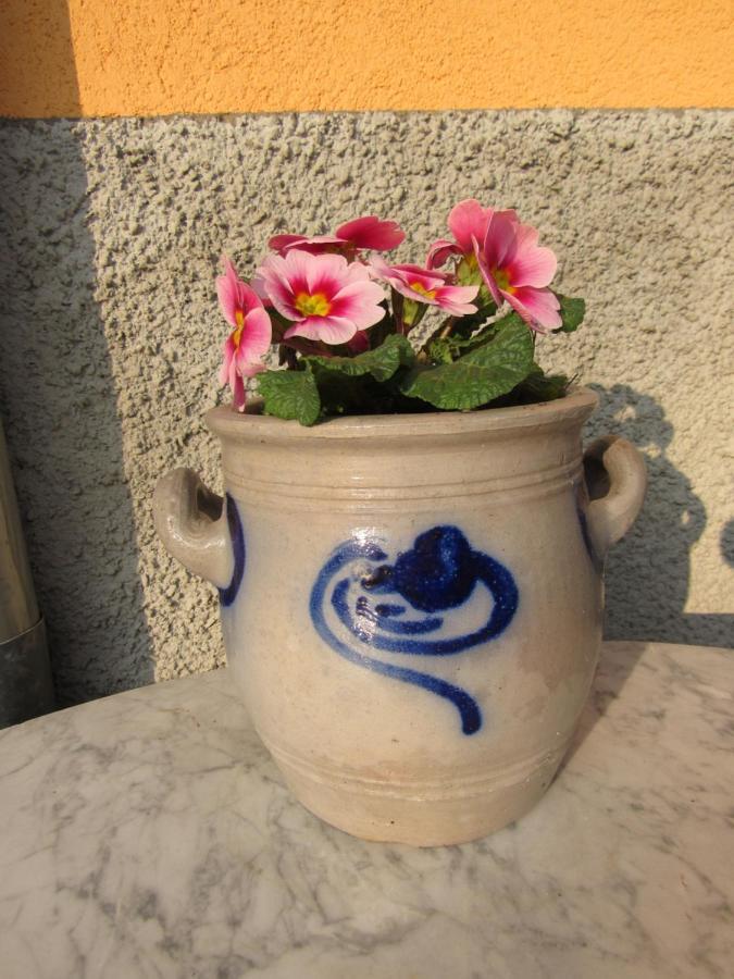 Gite Le Vigneron Donnenheim المظهر الخارجي الصورة
